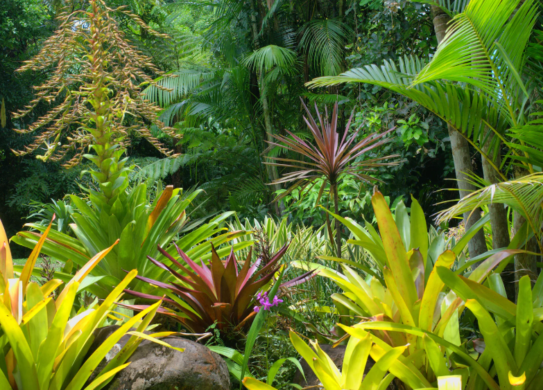 Permaculture Design